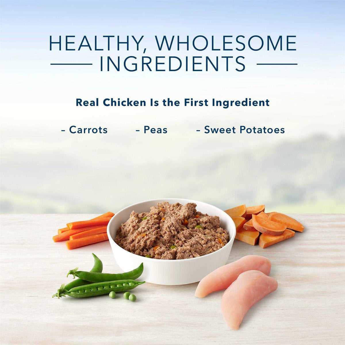Chicken Dinner Wet Dog Food O387076