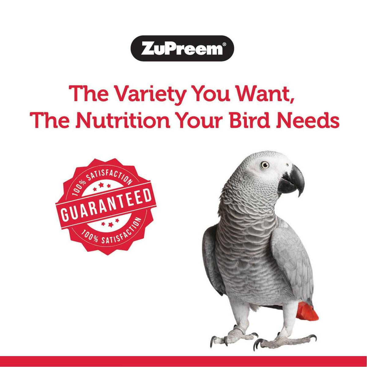 FruitBlend Flavor Bird Food K971