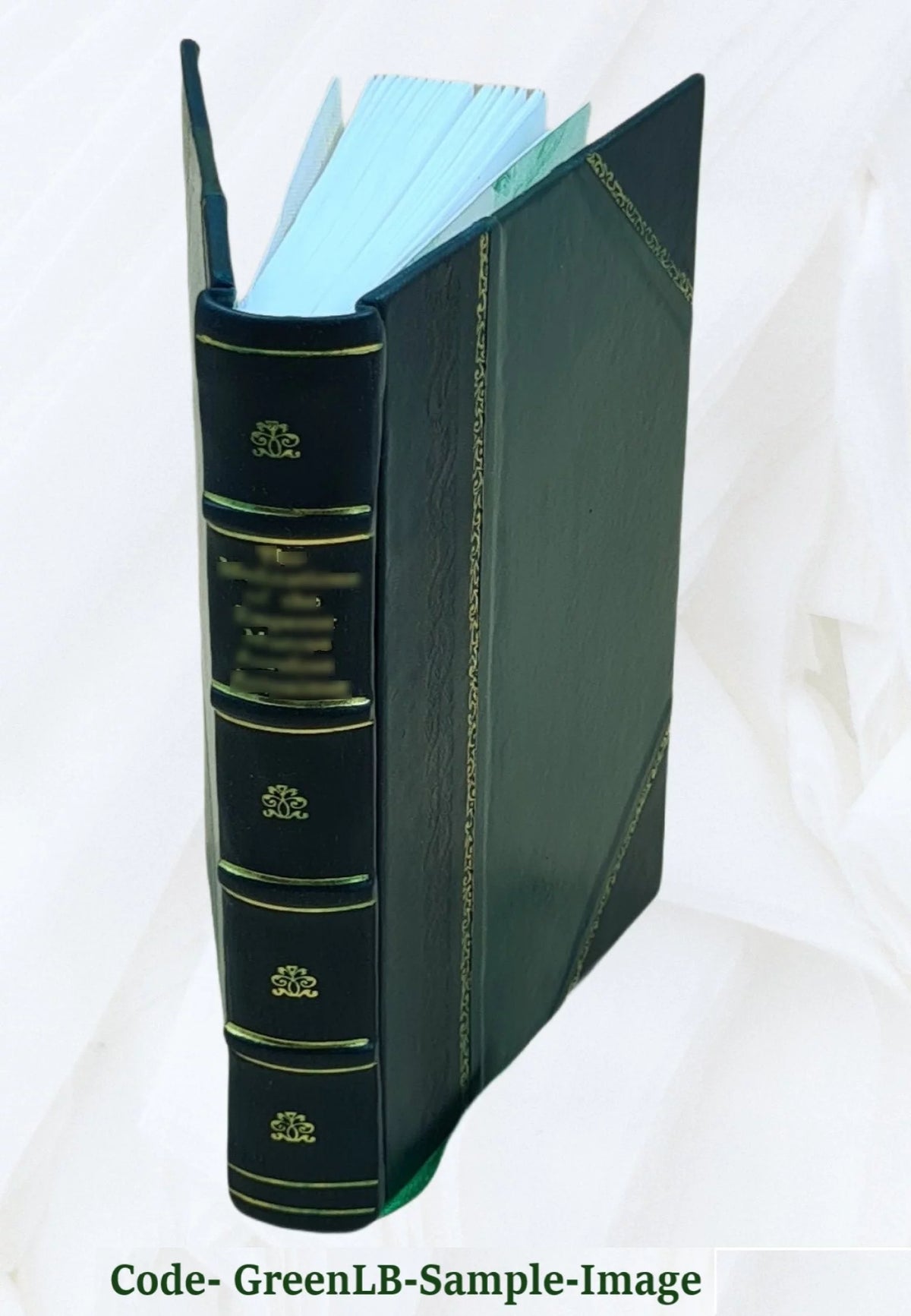 Leather Bound I11887
