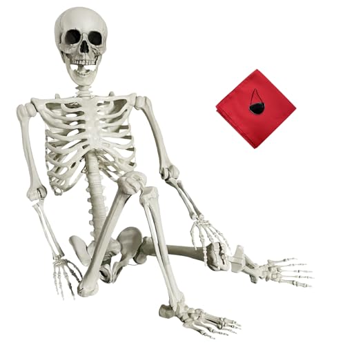 5.4Ft Life Size Posable Skeleton O3963