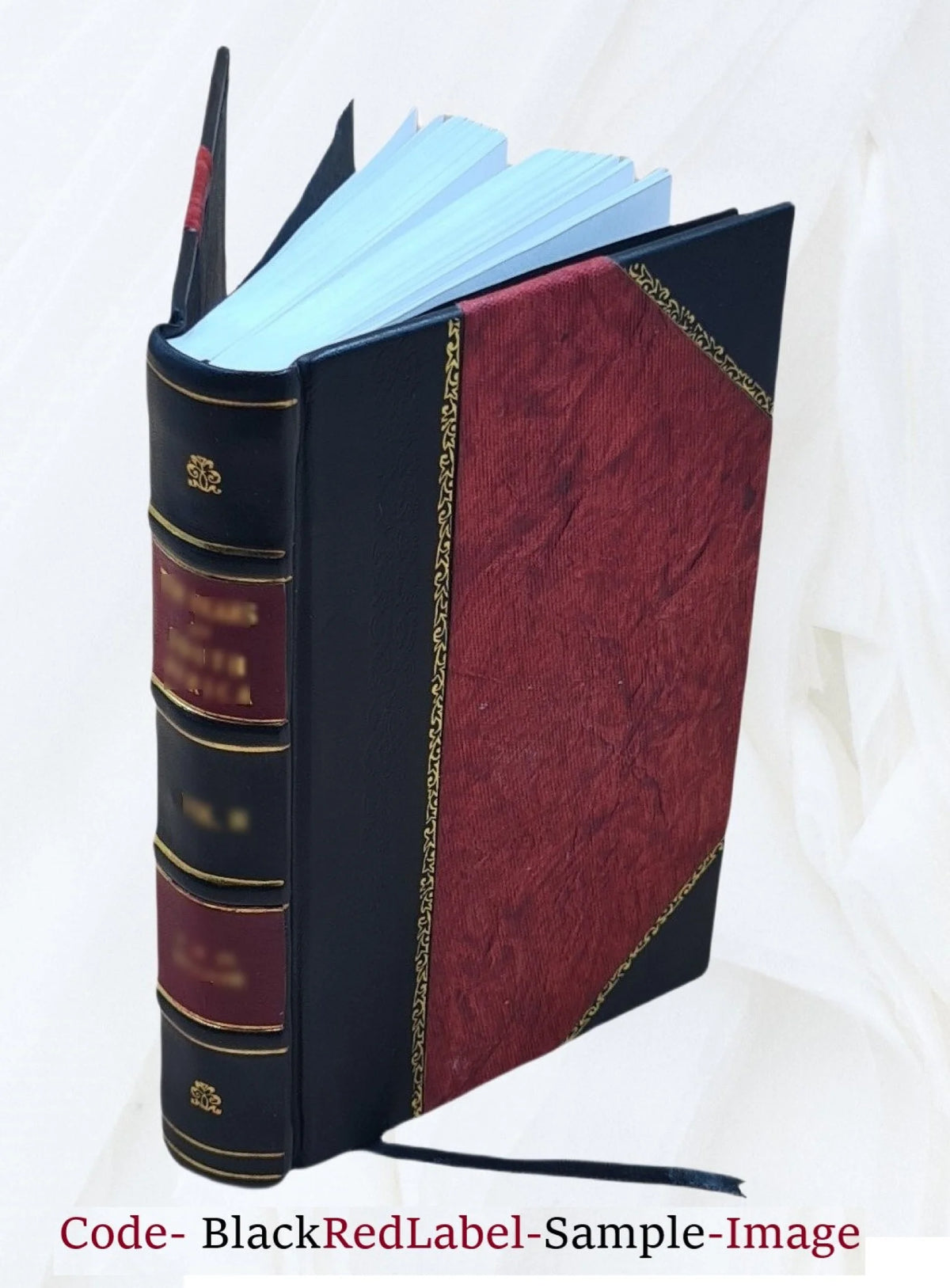 Leather Bound I11887